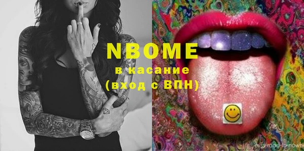 стаф Алзамай