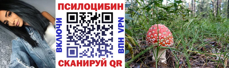 мега зеркало Избербаш Галлюциногенные грибы прущие грибы купить цена