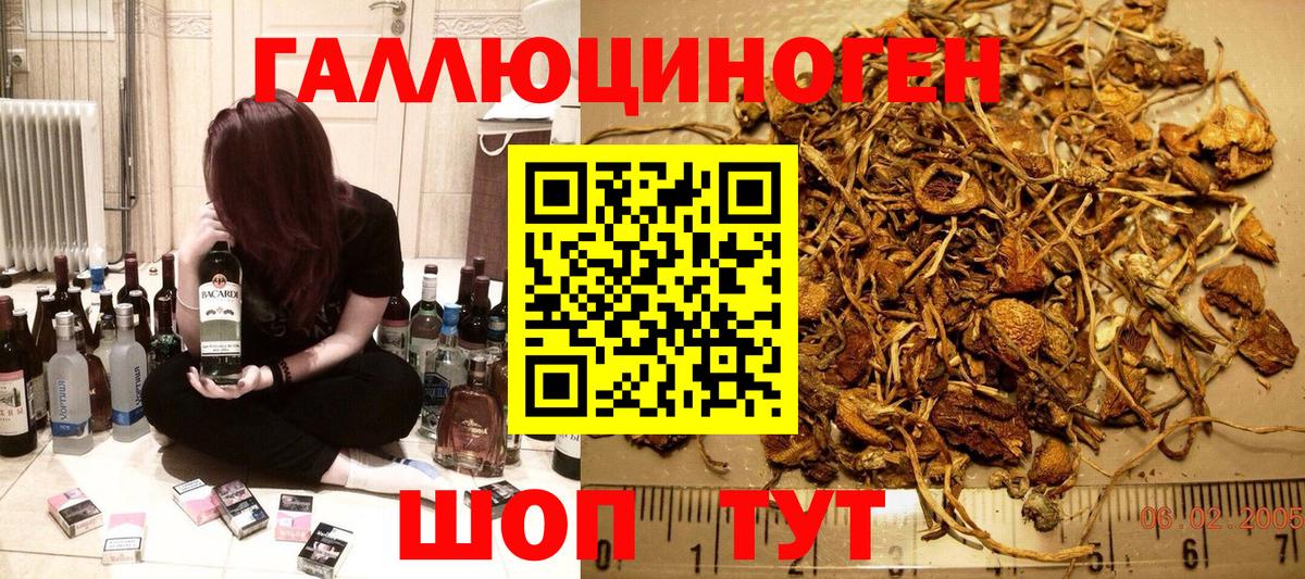 Галлюциногенные грибы ЛСД Избербаш