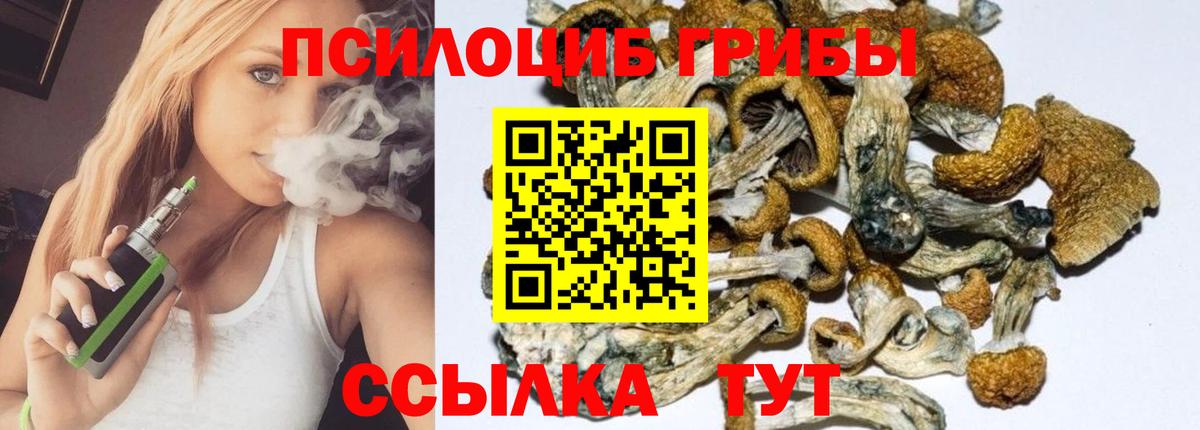 Псилоцибиновые грибы Magic Shrooms  Вход с VPN  Избербаш 
